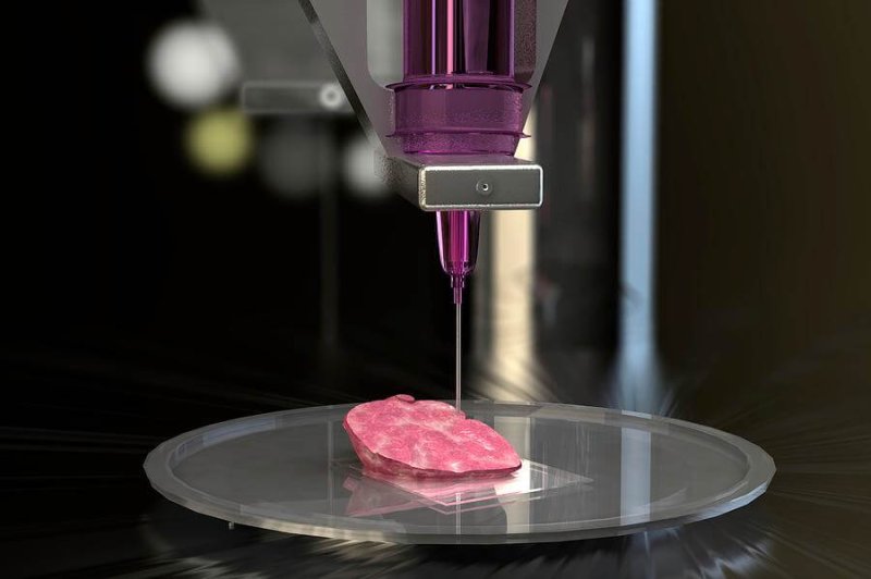 d bioprinting of organs ella maru studio science photo library