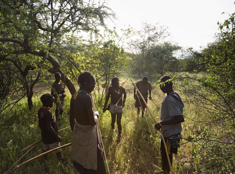 The Hadza people of Tanzania rely on hunting wild game for meat, a task that requires great skill in tracking, teamwork, and accuracy. Credit: Matthieu Paley