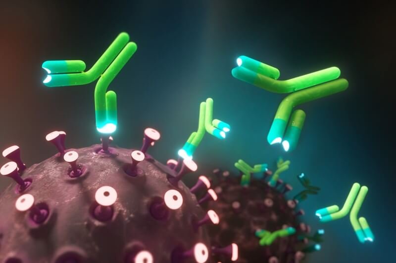 Monoclonal antibodies (green and blue; artist’s illustration) bind the spikes of coronavirus particles. Credit: Sci-Comm Studios/Science Photo Library