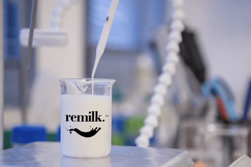 dairyreporter