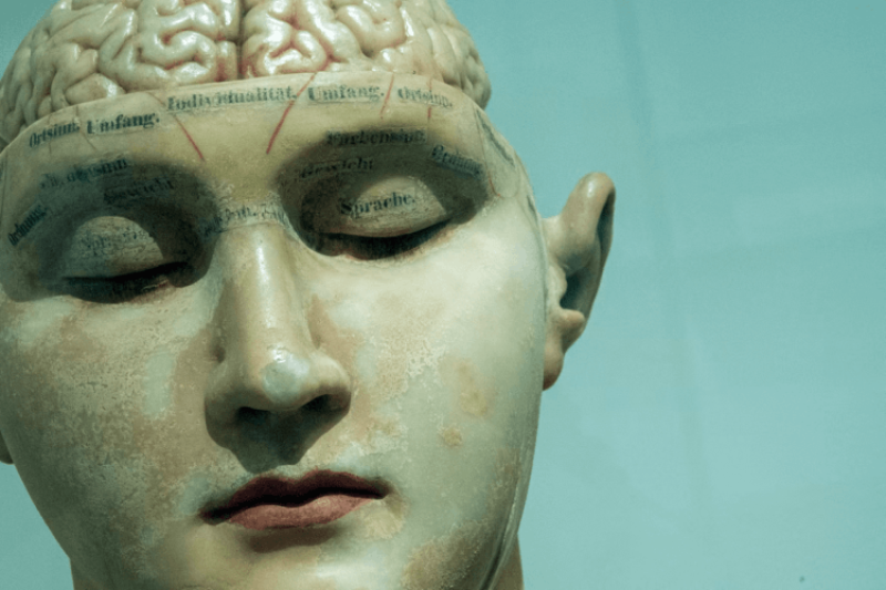Challenging ‘blank slate’ theories of human behavior: Most evolutionary researchers agree genes plays outsized role in shaping behavior