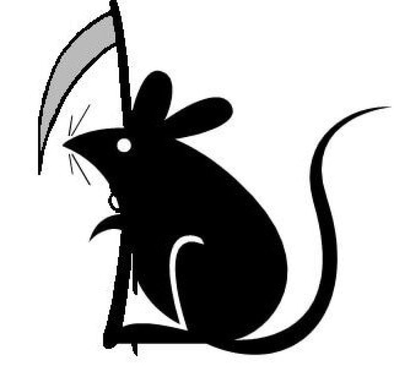 death mouse
