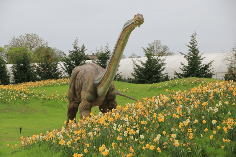 dinosaur jurassic park flowering field ca