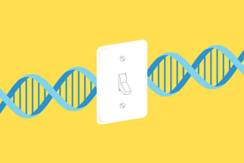 5-5-2019 dna off switch x x