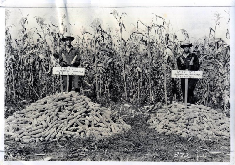 Fertilized versus unfertilized corn yields, 1932. Credit: Edd Roberts Collection