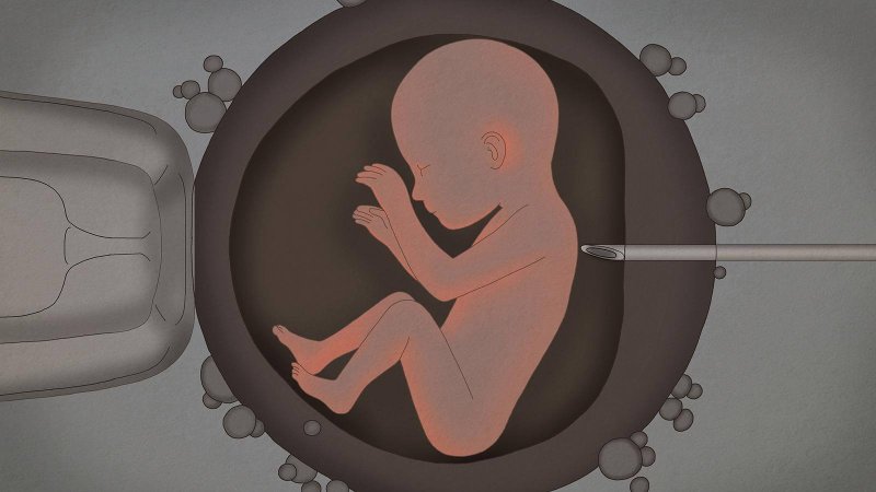 embyro baby gene editing