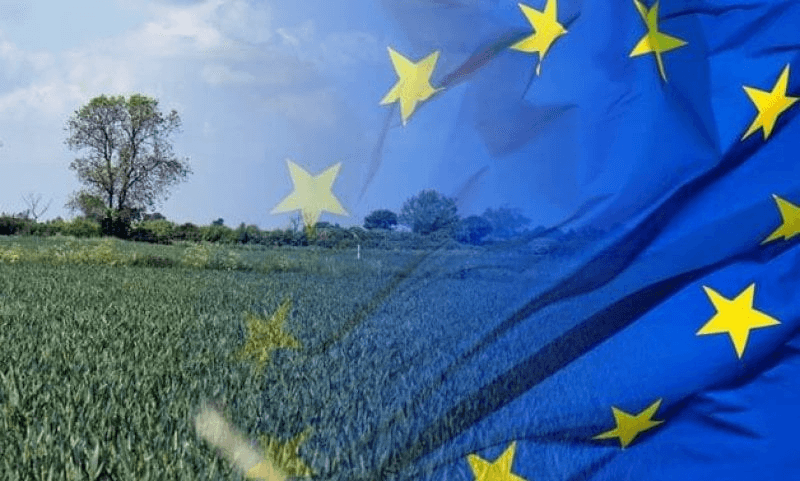 Despite escalating anti-GM activist campaigns, EU leadership explores how gene editing could help address climate and sustainability goals