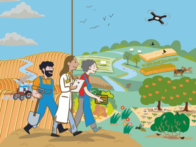Rather than focusing on productivity, measures of agroecological success include raising farmers from poverty and increasing biodiversity. Credit: European Union