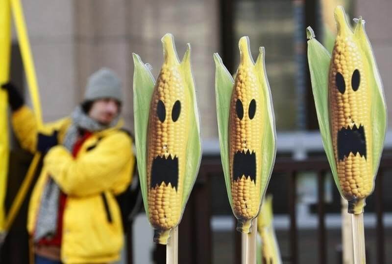 eu moves step closer to law on national gmo crop bans