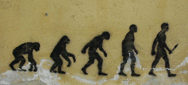 evolution on a wall