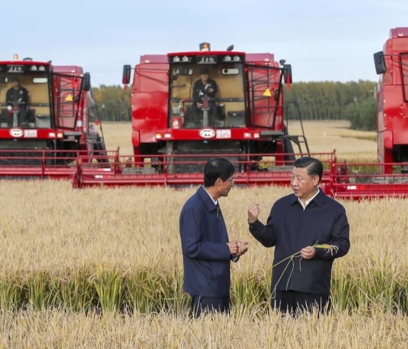 Chinese President Xi Jinping, right, visits a farm in Jiansanjiang. Credit: Xinhua