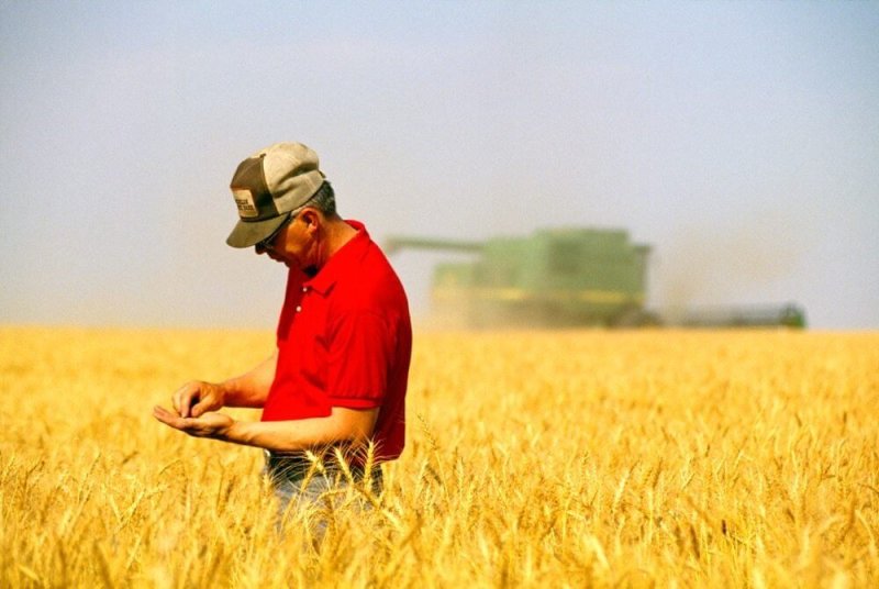 farmer wheat field thinkstock