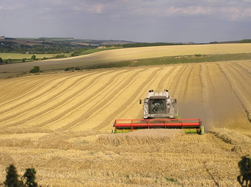 farming harvest uk creditjohn herrett flickr