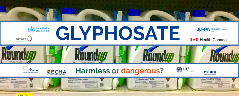 Glyphosate: Europe divided by the world's most widely used pesticide