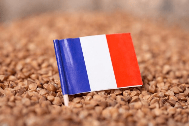 flag france buckwheat porridge