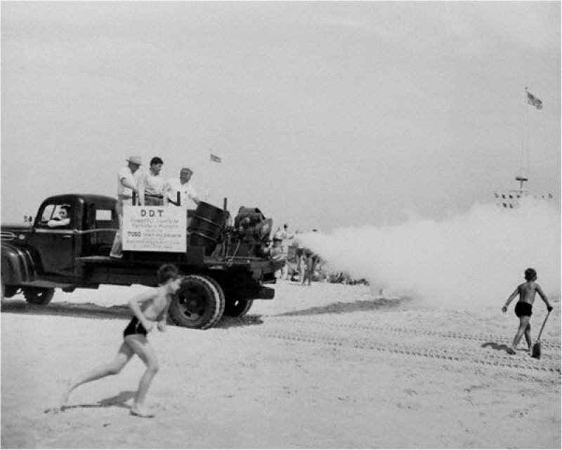 Fogger truck sprays Jones Beach in New York with DDT, 1945. Credit: Bettmann/CORBIS