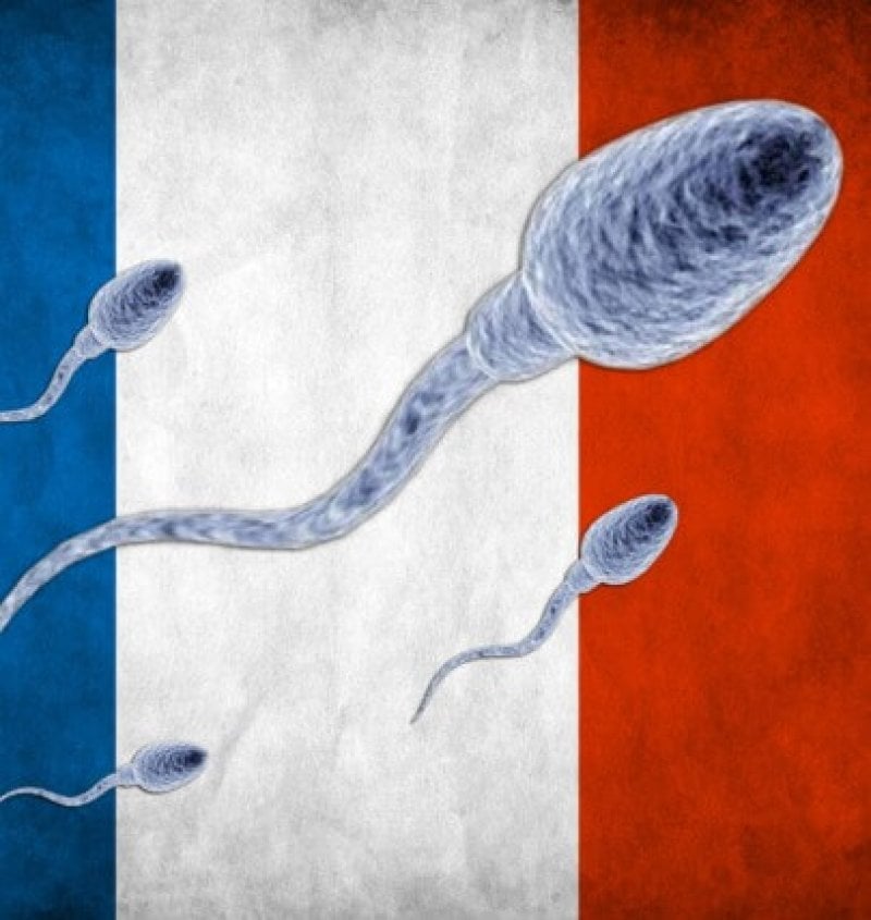 french sperm
