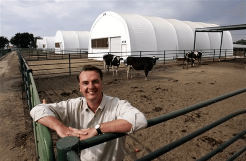 University of California researcher Frank Mitloehner is seen with some holstein dairy cows outside several "bio-bubbles" at the Davis, Calif., campus. Credit: Rich Pedroncelli/AP