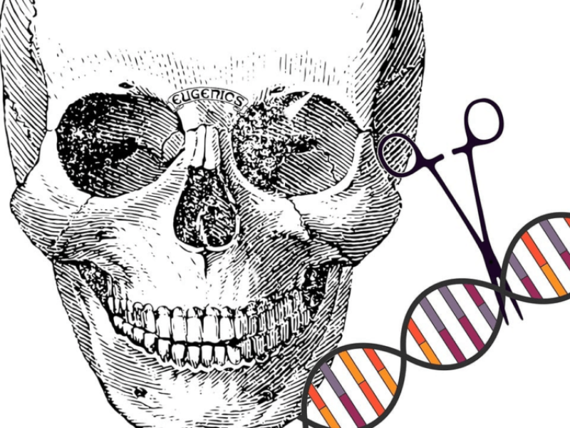 Viewpoint: Producing more intelligent humans? Transhumanist philosopher Nick Bostrom ventures into eugenics-fraught science of the future