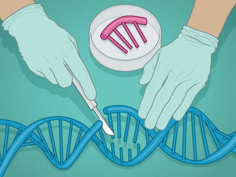 gene editing