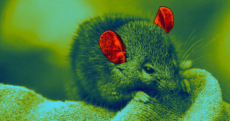 gene therapy deafness mice