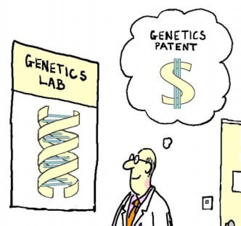 gene patent cartoon madden e