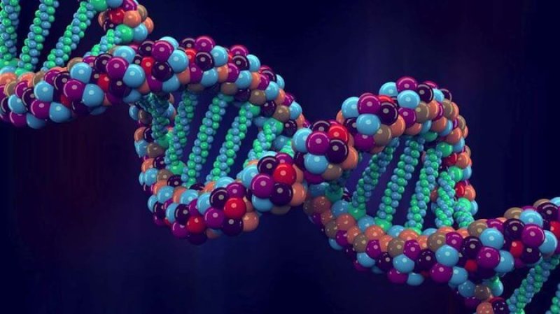 genome project–write scientists create synthetic human genomes