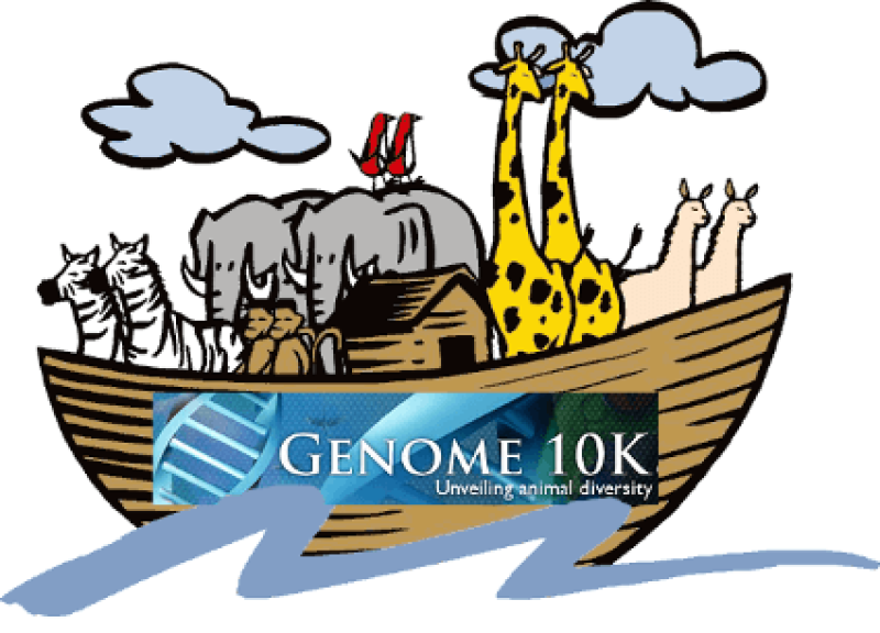 genome k