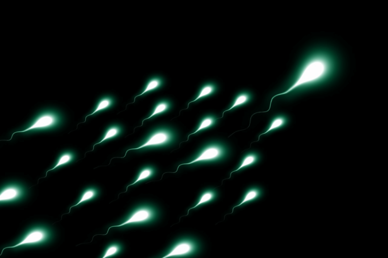Sperm donation is no longer anonymous. Where do we go from here?