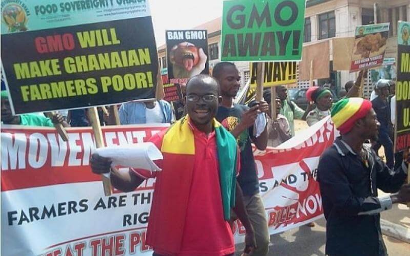 Cloud of disinformation: Ghanian scientist challenges anti-GMO scare campaigns in Africa