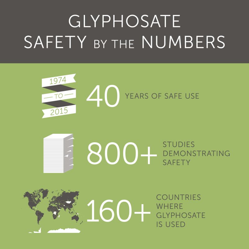 glyphosate safety