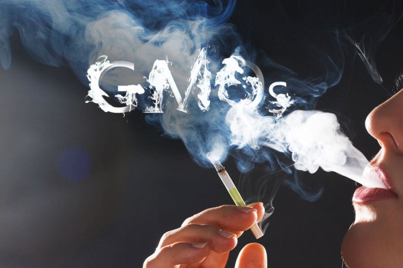 gmo smoke