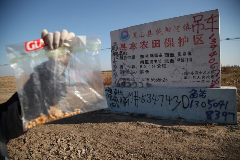 Credit: Ma Longlong/Greenpeace