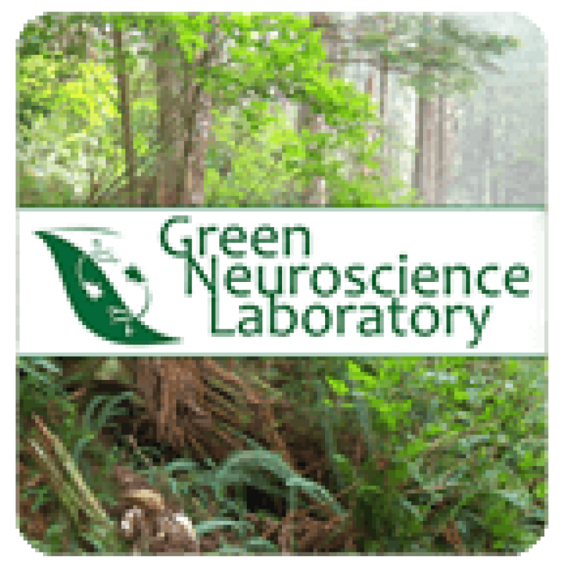 green neuro lab copy