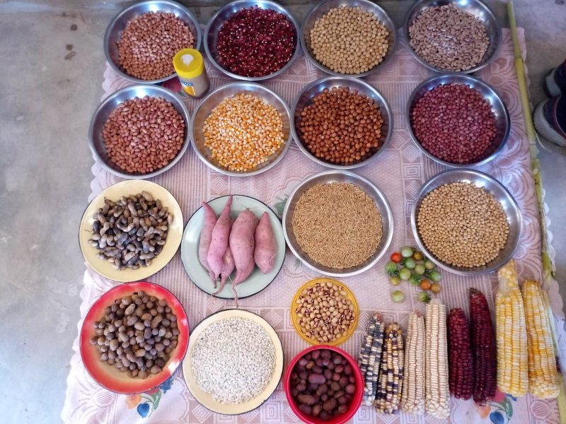 Farmer's market presentation of grain in Zimbabwe. Credit: Greenpeace
