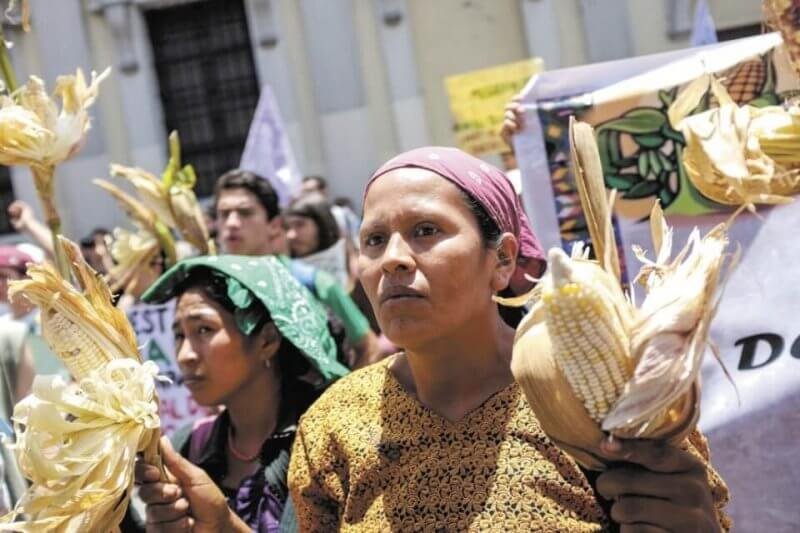 Monsanto protest in Guatamala. Credit: Hoy Nicaragua
