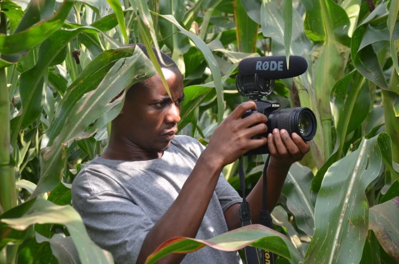 habimana jean claude in his mothers corn farm
