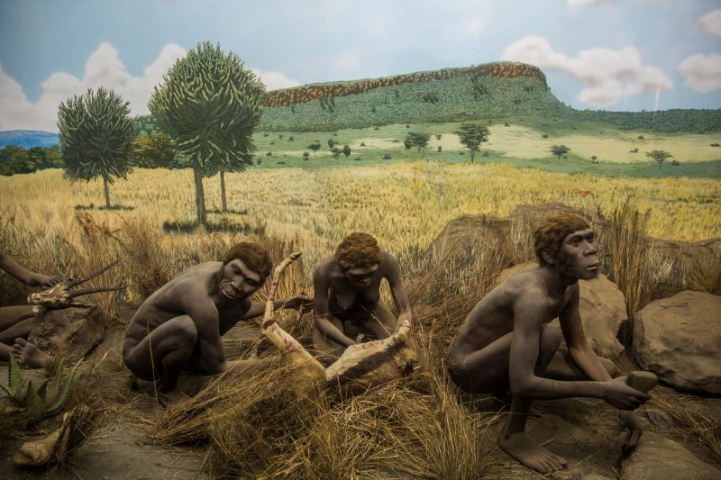 Credit: Sapiens