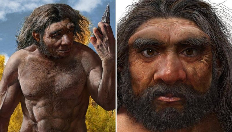 5 human species that played a role in our evolutionary history ...