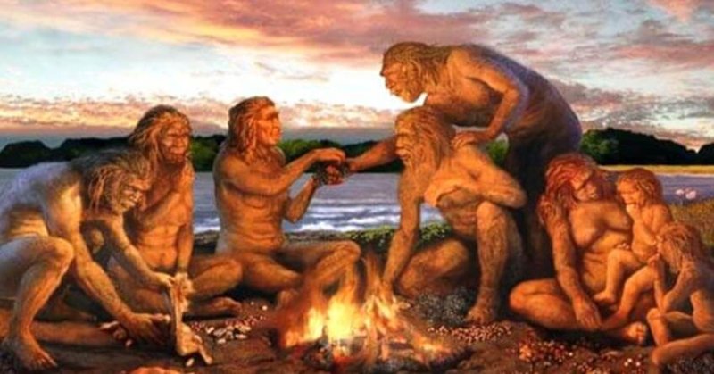 homo sapiens fire