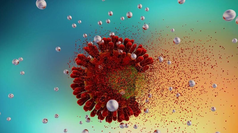 human immunodeficiency virus hiv aids stem cell shutterstock