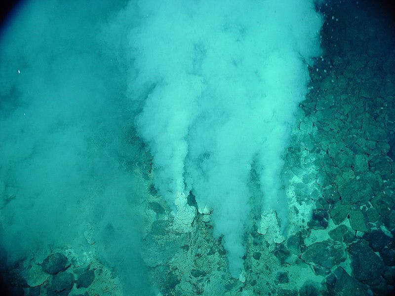 hydrothermalvent white smokers