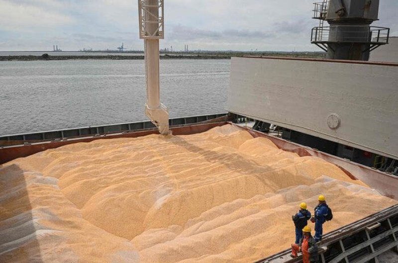 Corn being loaded in the Black Sea port of Constanta, Romania. Conflict has shuttered Ukrainian exports. Credit: Daniel Mihailescu via AFP