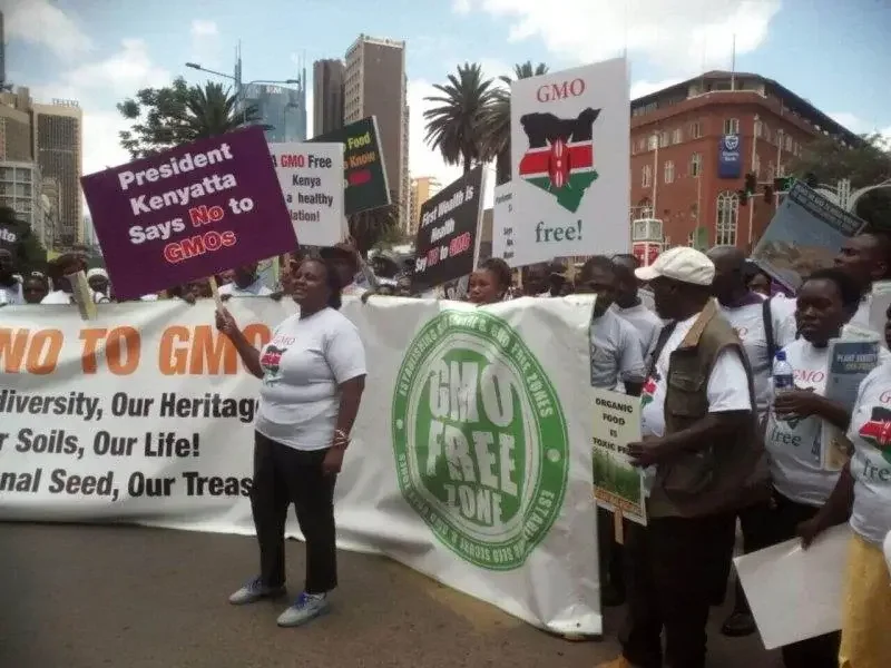 Viewpoint: 10 claims by anti-GMO African campaigners on why crop biotechnology advances should be rejected – and why they are wrong
