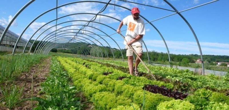 Would widespread adoption of organic farming practices be a good idea from a climate change perspective?