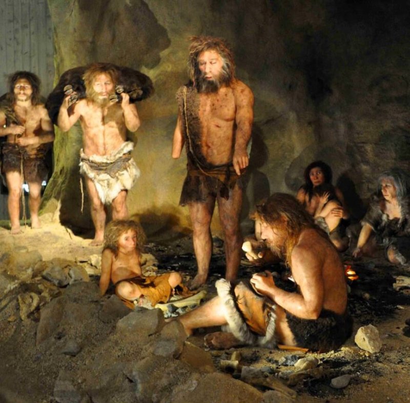 image e Neanderthals