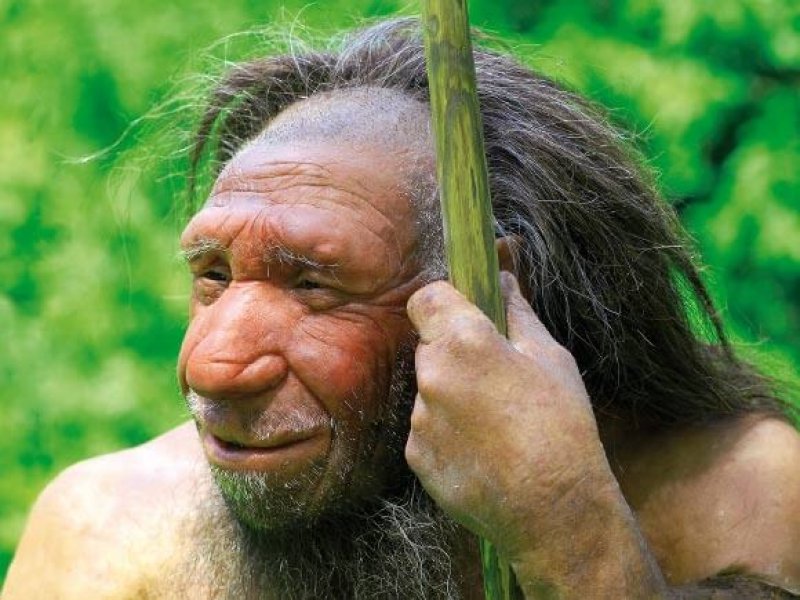 image Neanderthal genome