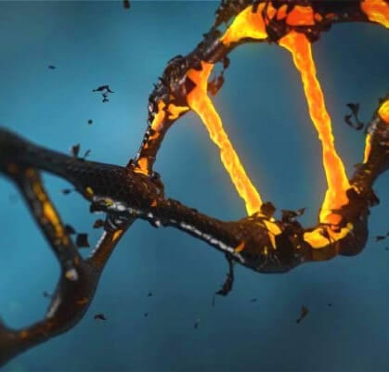 image f CRISPR Cas Mutations