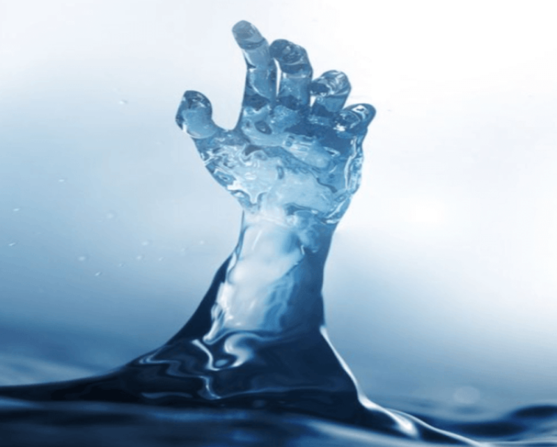 Life on Earth stems from water