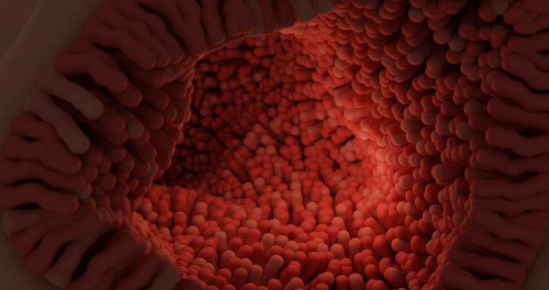Are probiotics a scam or can they really improve your ‘gut microbiome’ and your health?’